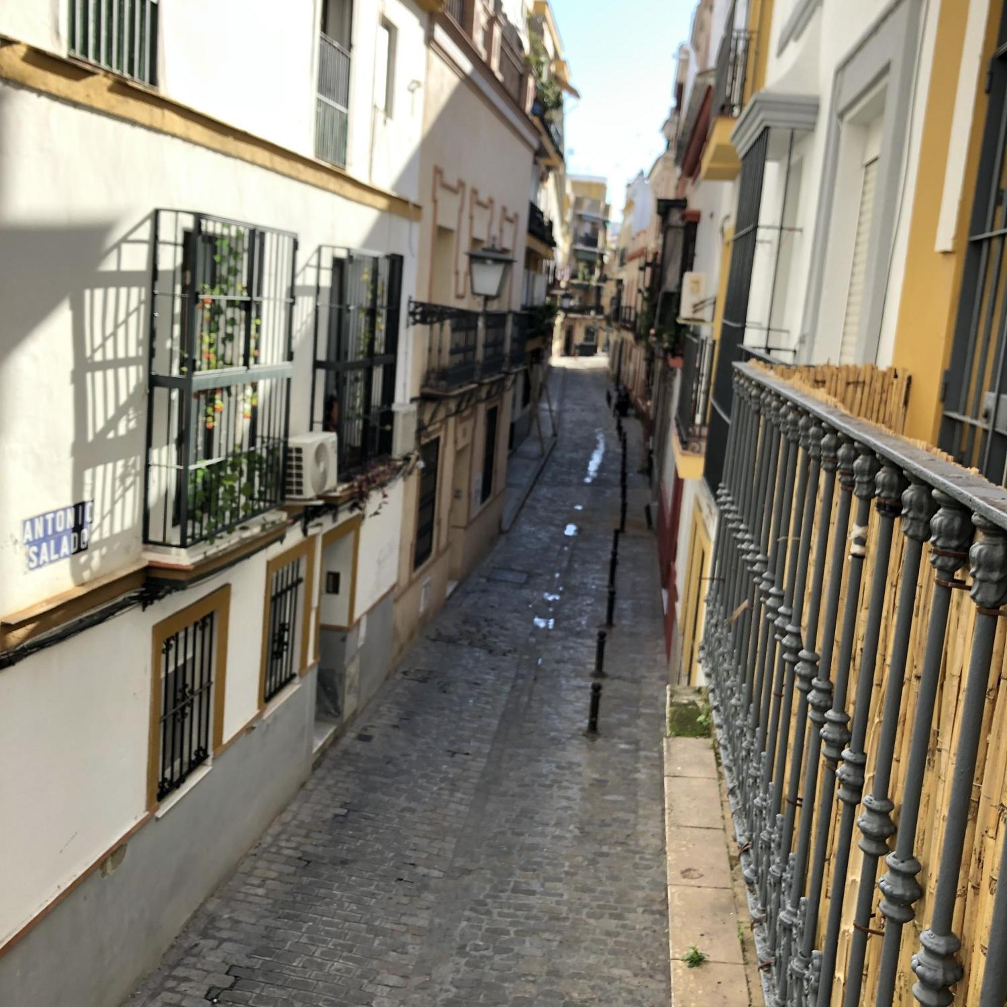 Apartamentos Alfaqueque B Sevilla Exteriér fotografie